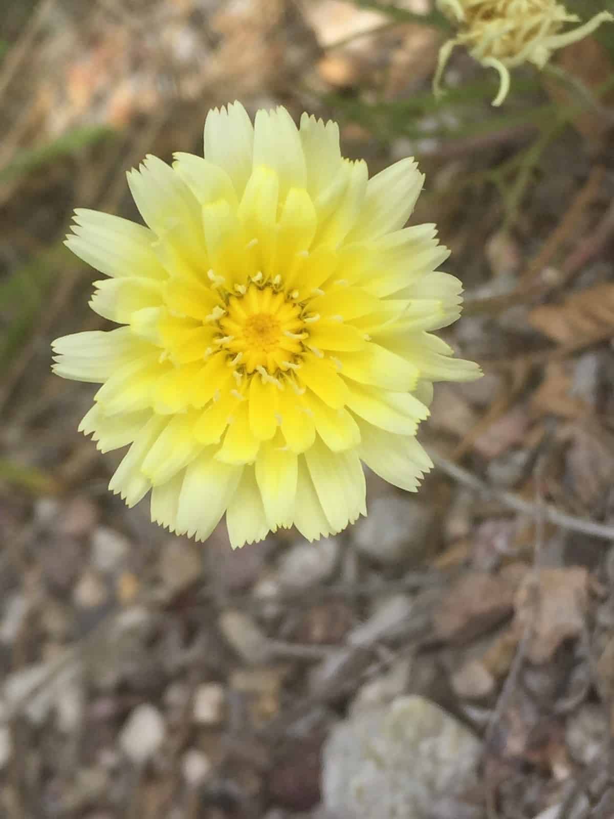 test3
